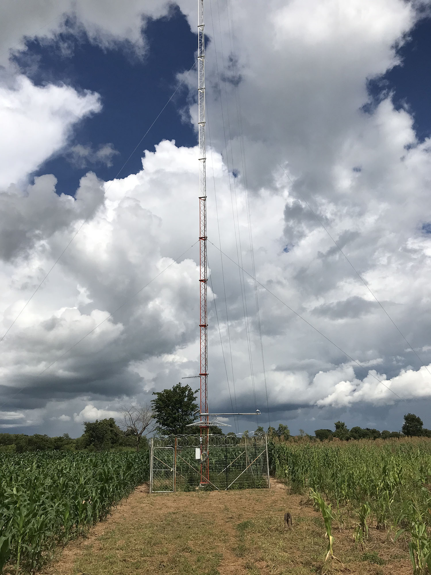 This met mast in a corn field provides revenue to the farmer and hope for electricity and economic development in the future.